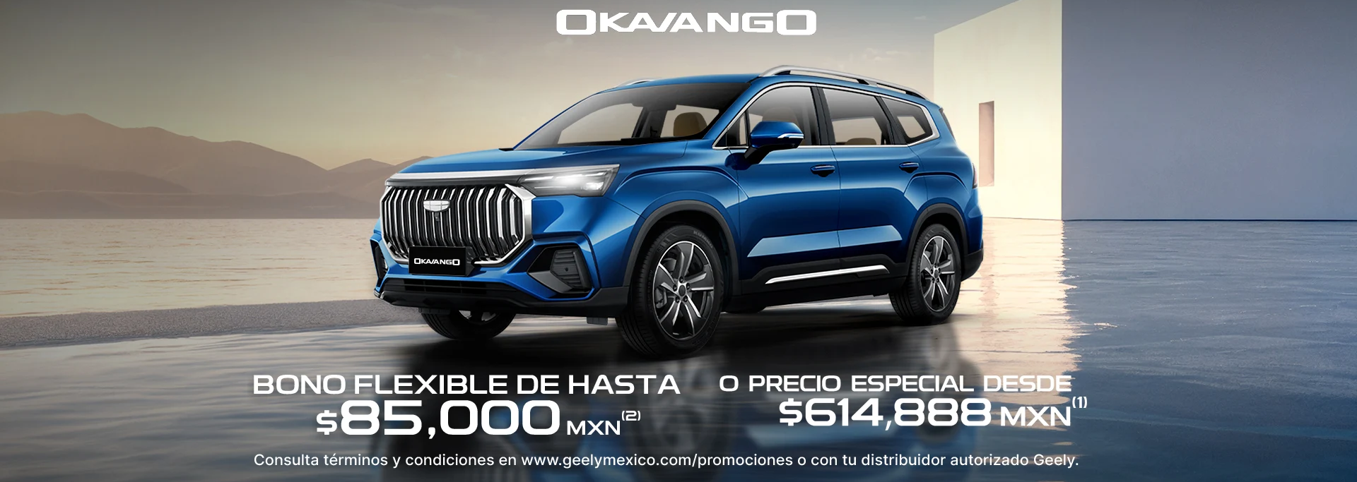 Promocion