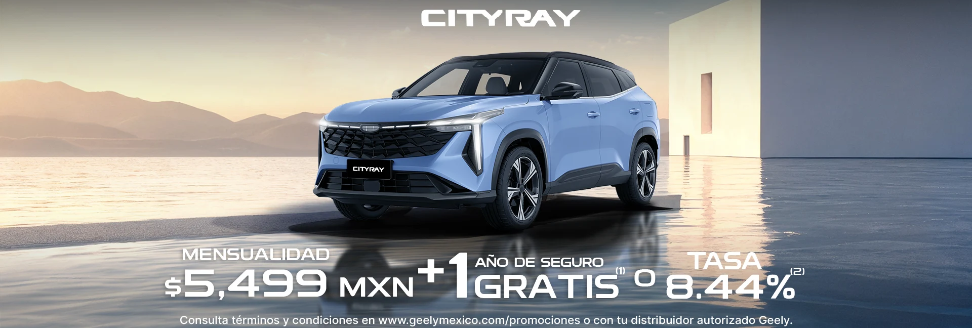 Promocion